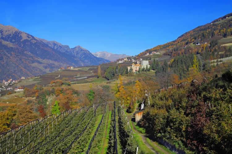 Schwarzplatterhof Apartman Merano Kültér fotó